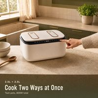 Autocuiseur Électrique Double Cuve 800W 2,5L + 2,5L, Vente Directe Usine, Choix Populaire pour la Cuisine Domestique et les Cantines