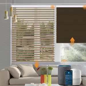 Hochwertige Jalousien Licht filter Blackout Triple Sheer Shade Automatische elektrische Shangri-la Rollos