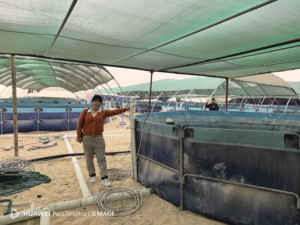 China se especializa en peceras redondas de PVC azules con generador de oxígeno para la cría de peces y camarones sudamericanos, tamaños personalizables. - Product Image 3