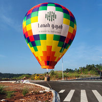 Vente chaude dessin animé forme gonflable ballon à air chaud suspendus ballon garfield hotair
