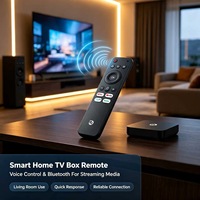 16-Tasten Sprachfernbedienung ABS-Kunststoffgehäuse für Smart TV Box OEM ODM Anpassbar Unterstützt Kundenspezifische Anpassung