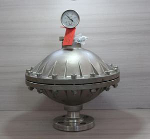 Nhà Máy bán hàng trực tiếp DN20 0.6L SS304 màng loại pulsation van điều tiết cho định lượng đo bơm - Product Image 2