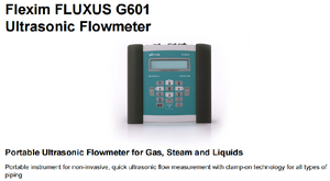 Medidor de Flujo de Gas/Aire Ultrasónico Digital Portátil Rosemounts Flexim FLUXUS G601N Inteligente de Acero Inoxidable y Plástico OEM - Product Image 3
