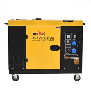 Bison Industrial Big Remote Start Hochspannungs-Notfall 3-Phasen-10-kW-Silent-Dieselgenerator für die Industrie