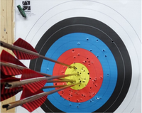 Flèches en bambou Tonkin imprimées, faites à la main, traditionnelles, avec teneur en spine, pour la chasse à l'arc recurve