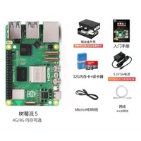 Raspberry Pi 5 Placa base independiente/Kit 4G 8G Placa de desarrollo 1/2 5B