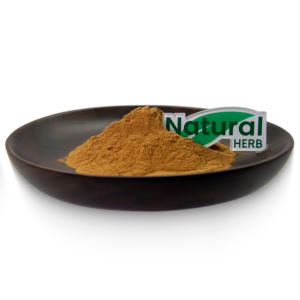 제조업체 직접 판매 <span class=keywords><strong>Astragalus</strong></span> 뿌리 추출물 분말 사포닌 뜨거운 판매 <span class=keywords><strong>Astragalus</strong></span> 분말 <span class=keywords><strong>Astragalus</strong></span> 다당류 - Product Image 3