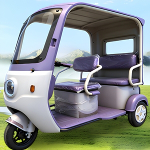 Triciclo Familiar de Tres Ruedas con Opciones de Color Personalizables y Techo, Capacidad para Pasajeros, Capacidad para Acomodar Cómodamente hasta 2 Pasajeros - Product Image 4