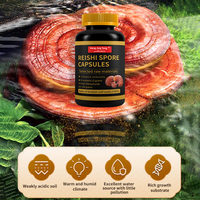 Complément Herbal Végétarien Pur et Naturel Personnalisé OEM : Capsules de Poudre de Spores de Ganoderma Lucidum pour l'Immunité des Adultes