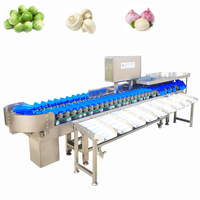 Avocado Oranje Cranberry Perzik Maïs Groente Ui Grader Schaal Dragon Fruit Automatische Milieuvriendelijke Commerciële Gebruiksmachine