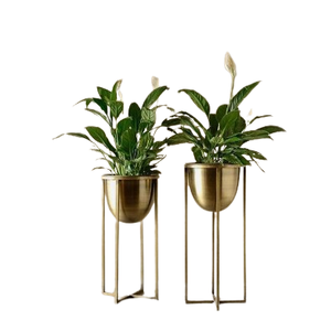 Maceta de estilo antiguo, venta personalizada, decorativa para exteriores, macetas de Metal minimalistas de alta calidad, decoración de plantas verdes - Product Image 4