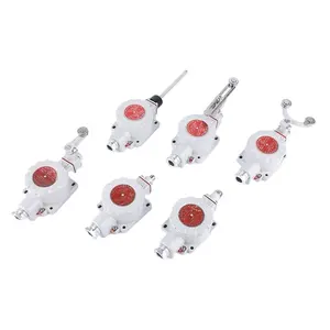 Explosion Proof Limit Switch LX5 IIC Explosion-Proof Electrical Travel Switch Guard Switches