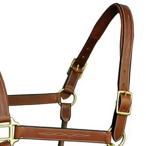 Licou de cheval en cuir de haute qualité avec forme anatomique coutures fantaisie élégantes parfaites pour les sports d'équitation et une utilisation stable quotidienne - Product Image 2
