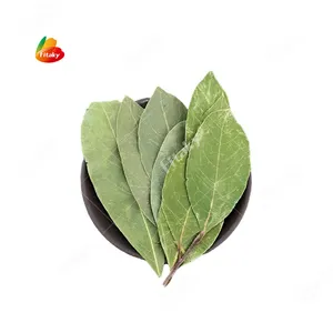 Dried Sage Leaf Bay Leaf Production Laurel Leaves For Spice