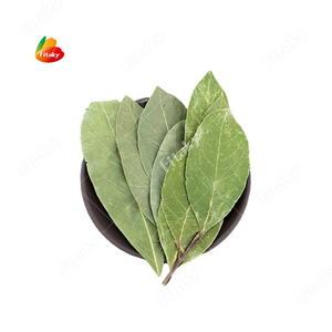 Feuilles de sauge séchées, feuilles de <span class=keywords><strong>laurier</strong></span> pour la production, feuilles de <span class=keywords><strong>laurier</strong></span> pour les épices - Product Image 1