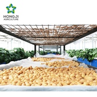 Flocons de pommes de terre en marque blanche OEM : Poudre de pommes de terre personnalisable pour chips et snacks, directement de l'usine