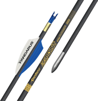 Flèche en carbone pur Pandarus Icepoint ID0.125\" 3.2mm 40 tonnes pour tir à l'arc, flèche de tir sur cible
