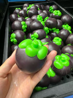Jouet à presser en blocs de construction en forme de fruits simulés, avec bruit croquant, non toxique, fraise et raisin, anti-stress