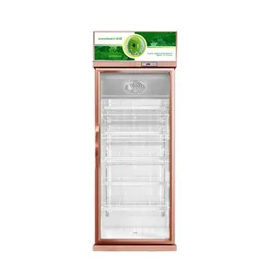 LG-1100J White Double Glass Door Beverage Display Cooler Drink Cooler Refrigeration Equipment