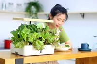 Joli pot hydroponique de bureau à 12 trous pour culture en eau profonde avec contrôle tactile intelligent, garantie 1 an, pour des légumes frais
