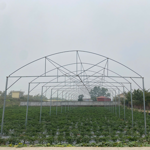 Venta al por mayor de zanahorias picadas secas de Vietnam, verduras deshidratadas agrícolas, servicio de exportación OEM - Product Image 4