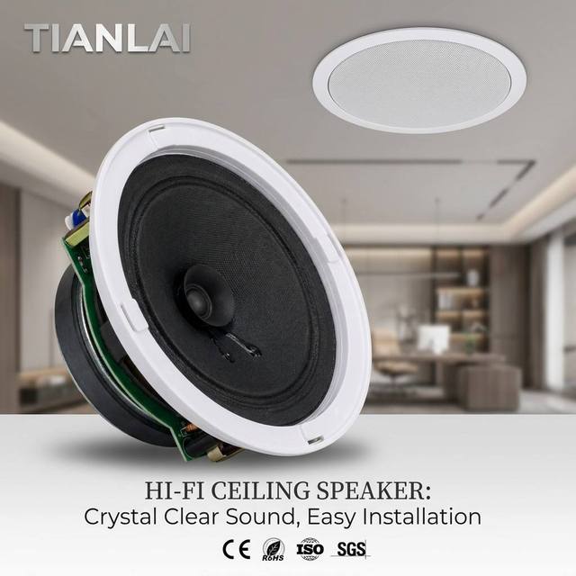 Tianlai Modern 6 Inch Professional Ceiling Speaker High Power Full Range Flush Mount for Public Address System Wholesale Factory