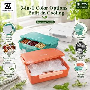Zhenneng Lunch Box <strong>Container</strong> 2800ml, Custom Snack Bento Platter Ice Pack, Leak-Proof Silicone Lid, Outdoor Portable Meal Kit - Product Image 1