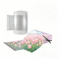 Film transparent P20 pour écran super large, film transparent pour affichage LED pour grande surface, façade en verre