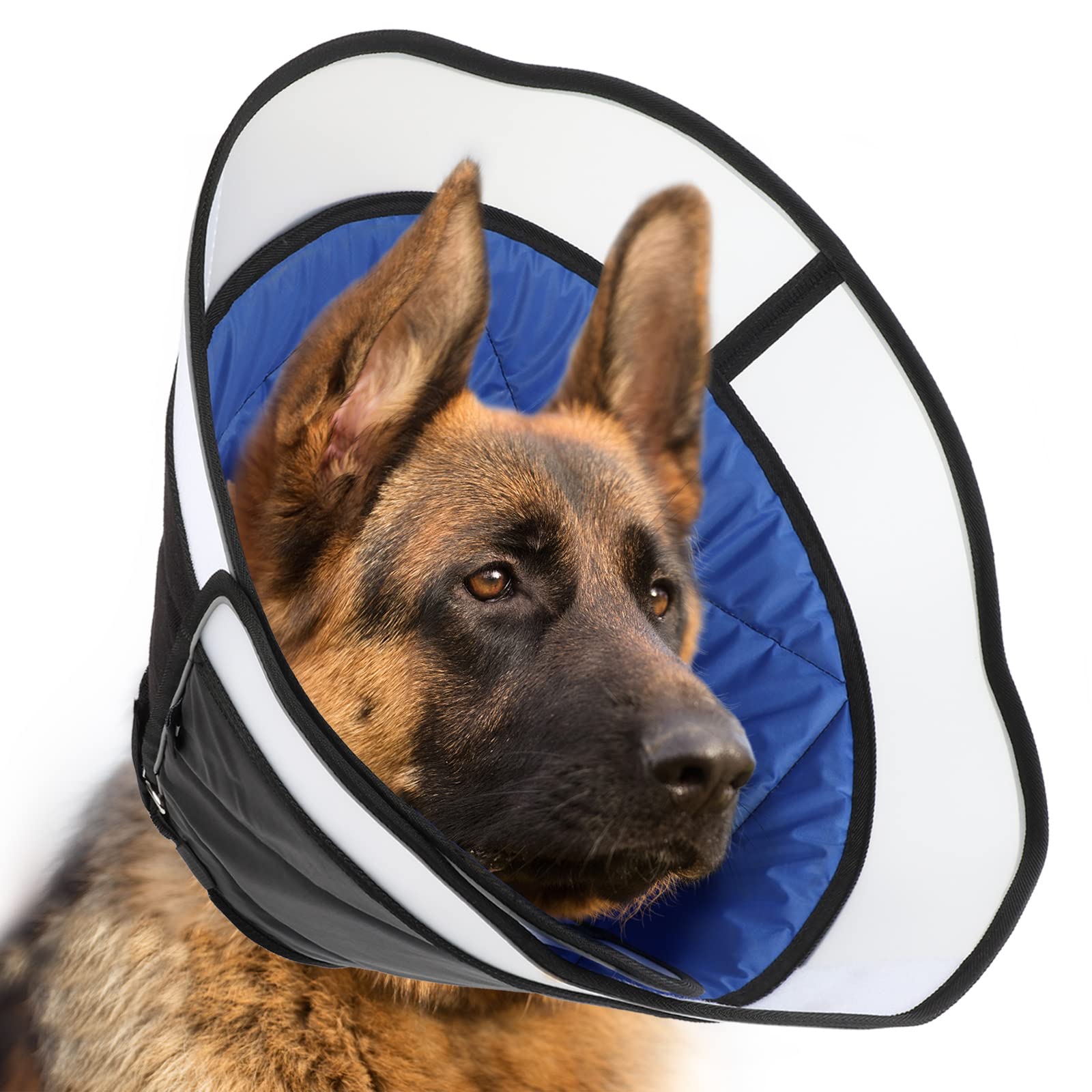Anatomy Dog Eye Cones Plastic Dog Cone Collars Adjustable Anti