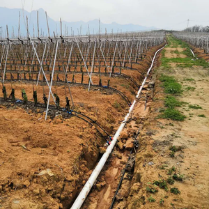 Tubería de Riego por Goteo de Material PE de 16 mm con Compensación de Presión para Invernadero, Terrenos Inclinados y Jardín, Gran Oferta - Product Image 3