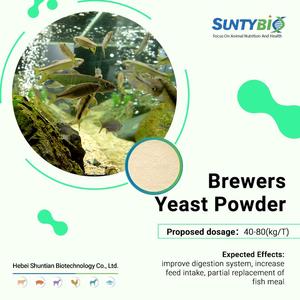 Additifs alimentaires à haute teneur en protéines/Levure d'alimentation animale/Poudre de levure de bière - Product Image 3
