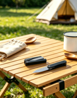 Aiguiseur de couteaux pliable en diamant, corps en ABS, grain moyen 400-800, portable, compact, écologique