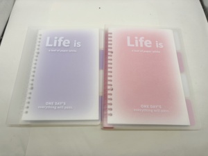 Gradiente Piccolo <span class=keywords><strong>A5</strong></span> a spirale quaderno di 60 pagine Journaling con carta pittura a matita Logo stampato personalizzato per il regalo - Product Image 2