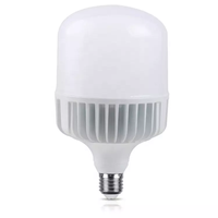 Skd E40 en aluminium moulé sous pression, ampoule led en forme de T 20w 30w 40w 50w 80w 100w