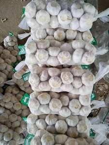 Tüm satış beyaz sarımsak/sarımsak/hint sarımsak 2025 - Product Image 2