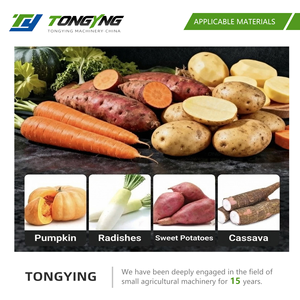 Grattugia Moderna <span class=keywords><strong>in</strong></span> <span class=keywords><strong>Ghisa</strong></span> per Verdure, Cipolle, Curcuma e Ravanelli, per Uso <span class=keywords><strong>in</strong></span> Cucina e <span class=keywords><strong>in</strong></span> Fattoria - Product Image 5