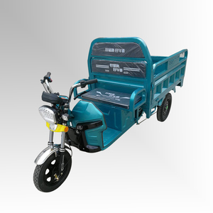 Tilting Electric Trike 