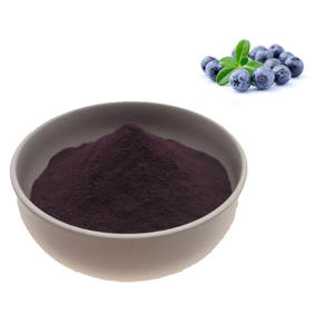 Extracto de Arándano en Polvo, Antocianina de Arándano, Materia Prima Soluble en Agua - Product Image 1