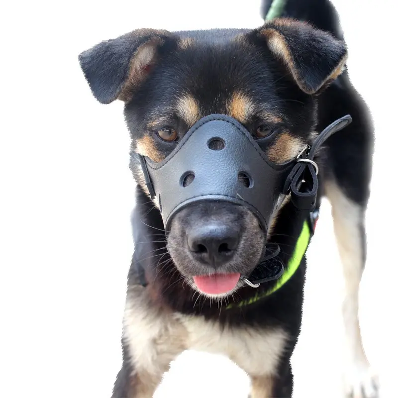 Cover per mascherina Anti-alimentazione in pelle sintetica traspirante regolabile in Pu per cani da compagnia che prevengono i morsi di corteccia