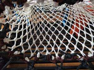 Piège à tique à <span class=keywords><strong>homard</strong></span>, Durable, nouveau style de mode, très <span class=keywords><strong>moins</strong></span> <span class=keywords><strong>cher</strong></span>, livraison gratuite - Product Image 3