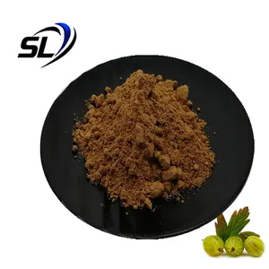 Amla Powder Organic Indian Gooseberry Amla Extract Amla Hair Powder