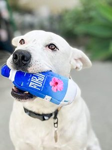 Furji Water Bottle Dog Toy-divertente carino bevande uniche Non alcool parodia peluche con Squeaker - Product Image 6