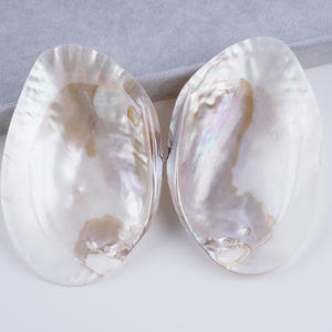 Perles de culture d'eau douce naturelles de 13-14 mm, forme de pièce de monnaie baroque, bouton, trou traversant, bricolage, collier, perles en vrac, vente en gros - Product Image 2