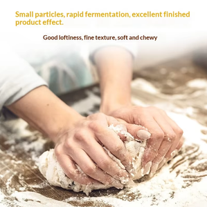 <span class=keywords><strong>Levadura</strong></span> seca de alta actividad y polvo <span class=keywords><strong>para</strong></span> hornear Halal, 3g/10 bolsas a granel, <span class=keywords><strong>para</strong></span> pasteles con alto contenido de azúcar, almacenamiento a temperatura ambiente - Product Image 5