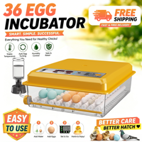 Incubateur d'œufs entièrement automatique 64 œufs, contrôle numérique de la température et de l'humidité, retournement automatique, couveuse de poulets, cailles et volailles pour la ferme