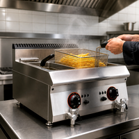 Équipement de restauration pour restaurants, friteuse de table en acier inoxydable à double cuve, friteuse à frites pour usage en cuisine