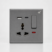 Fabricants d'usine Interrupteur de prise murale USB Type-c sûr et durable étanche à l'humidité avec néon