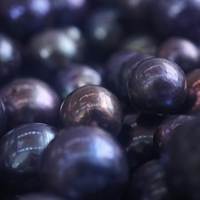 Perle d'eau douce noire teinte, à fort lustre, pour la création de bijoux DIY