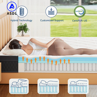 Großhandel Neue Xxxn Matratze Queen King Size Komprimierte Latex-Hybrid-Hotelmatratze mit Taschenfederkern und Memory-Schaum