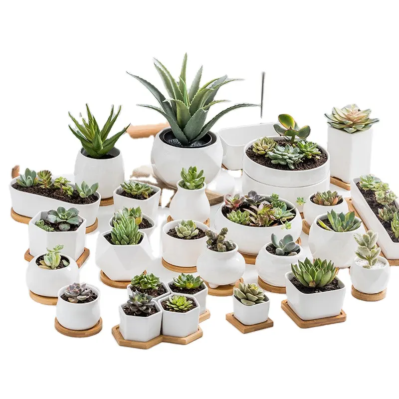 Pot en céramique pour plantes succulentes, décorations blanches pour la maison, jardin, plateau en bambou, 30 cm